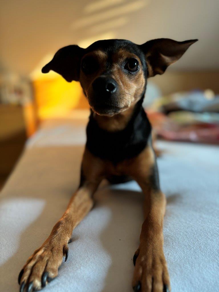 Emma