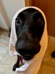 Ben