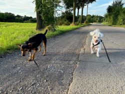 Emma Und Die Oma